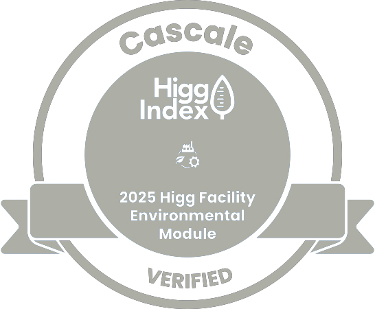 HIGG-FEM 4.0